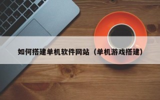常德如何搭建单机软件网站（单机游戏搭建）